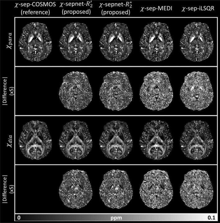 Representative figure for χ-sepnet